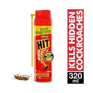 Hit Spray Crawling Insect Killer (320 ml)