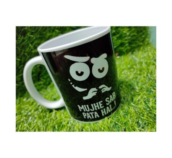 Craftgenics Mujhe Sab Pata Hai Printed Coffee Mug